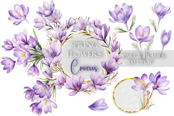 Crocus Spring Floral Clipart Flowers PNG Graphics Review