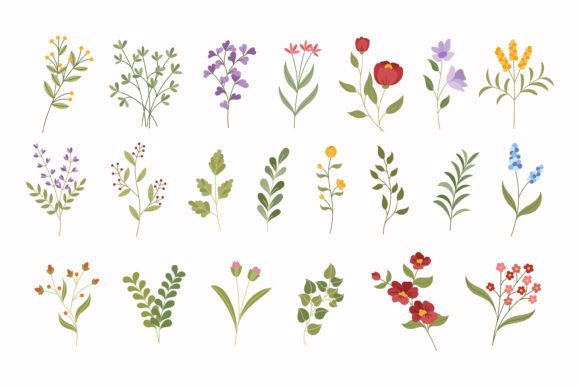 Floral Design Collection Review for Embroidery Projects