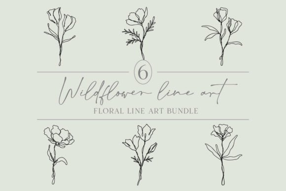 Floral Line Art Bundle 6 Wildflowers for Graphics and Illustrations