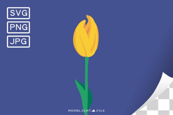 Funky Floral Modern Flower Tulip 1-1 Graphics Review
