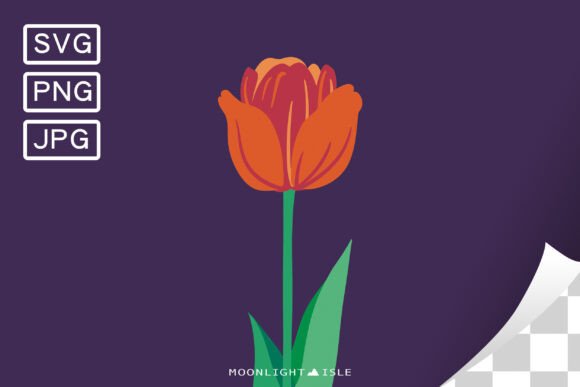 Funky Floral Modern Flower Tulip 2-3 Graphics
