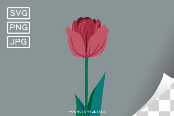 Funky Floral Modern Flower Tulip 5-3 Review