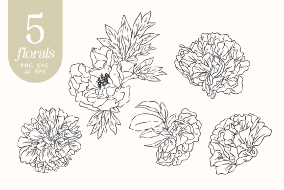 Sketched Floral Illustrations for Graphic Design Projects